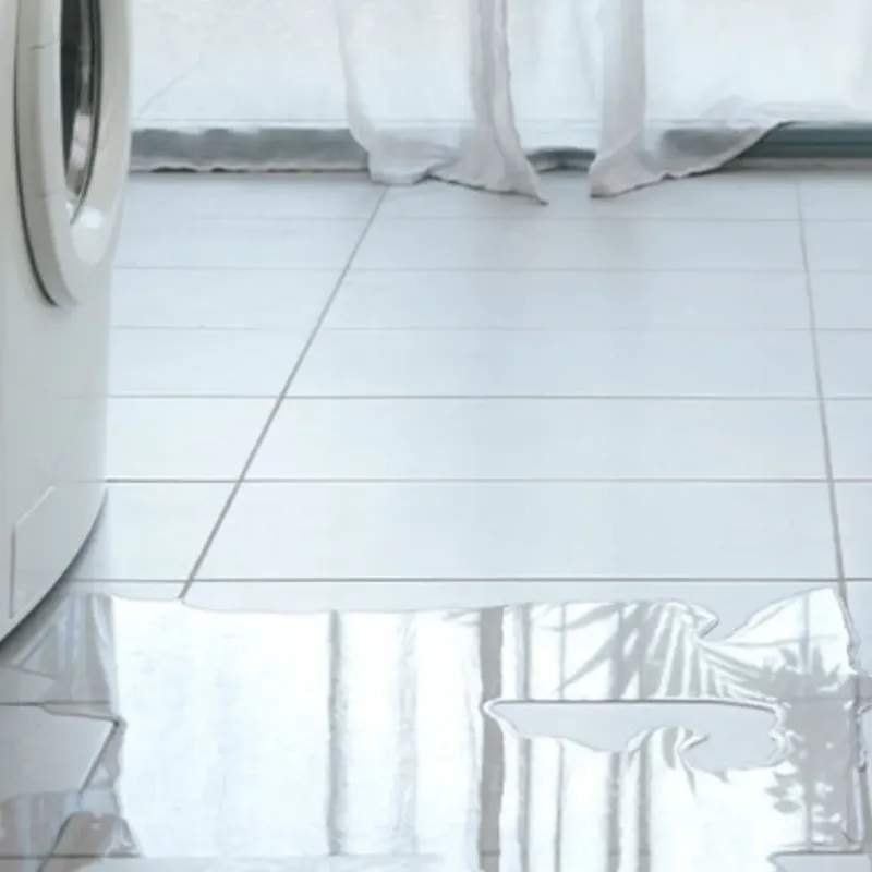 Appliance Leak Cleanup in Hamilton County, TX