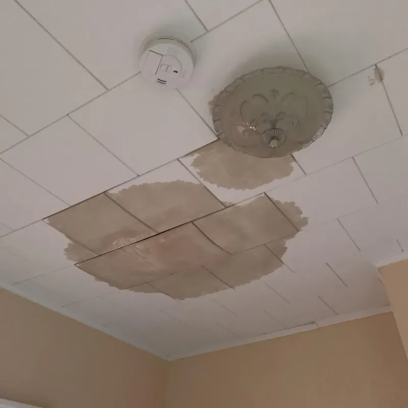 Ceiling Water Damage Repair in Hamilton County, TX