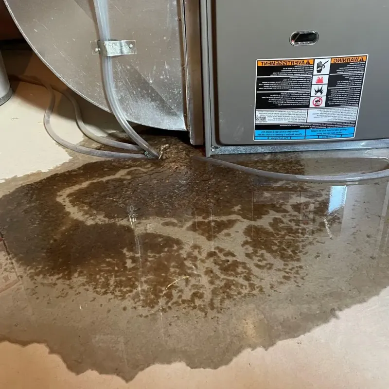 Pipe Burst and Leak Restoration in Hamilton County, TX