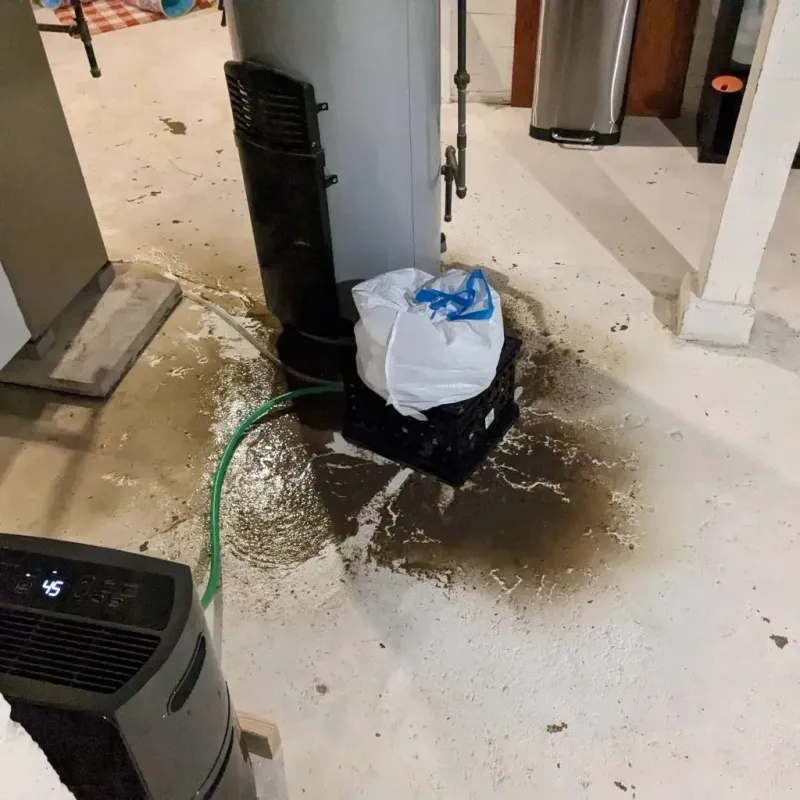 Sewage Backup Cleanup Service in Hamilton County, TX